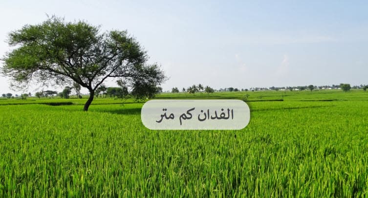 Photo of الفدان كم متر مربع