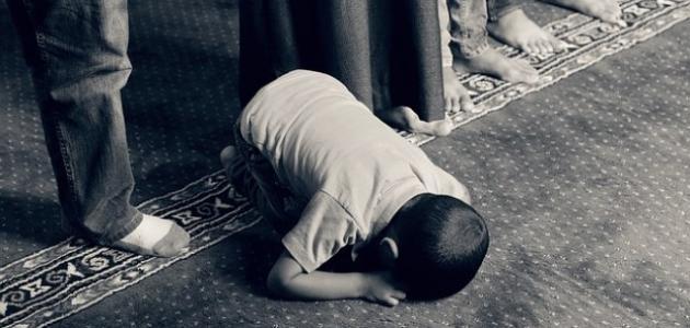 Photo of كم عدد واجبات الصلاة