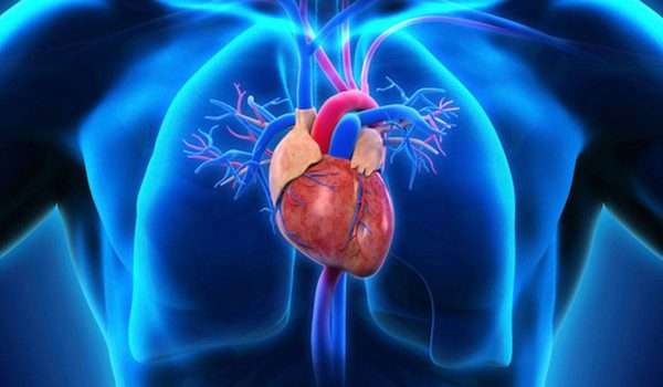 هل القسطرة القلبية خطيرة