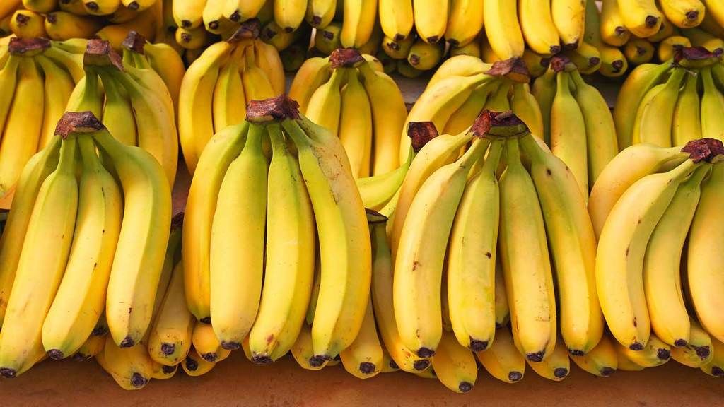 Photo of تفسير حلم شراء الموز في المنام