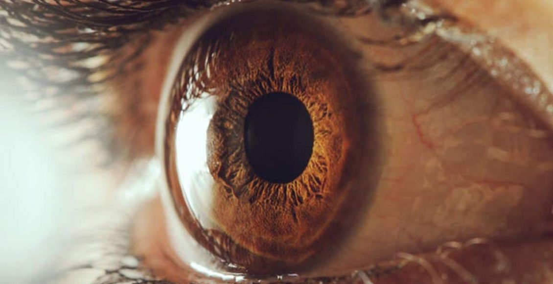 Photo of مراحل الشفاء من العين