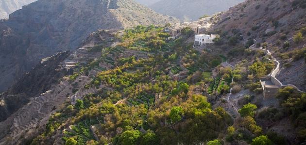 Photo of كم يبلغ ارتفاع الجبل الأخضر في عمان
