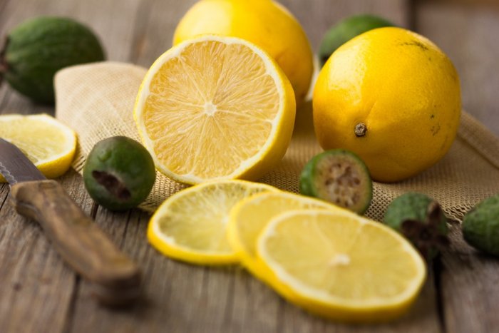 Photo of هل الليمون يبطل مفعول الدواء؟