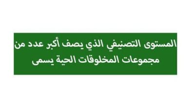 المستوى التصنيفي الذي يصف أكبر عدد من مجموعات المخلوقات الحية يسمى