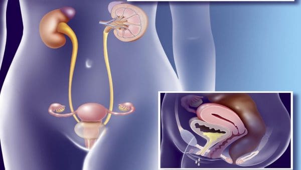 أسباب عدم تفريغ المثانة من البول عند الرجال