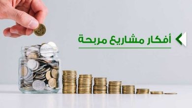 أفضل 20 فكرة لمشاريع تجارية ناجحة في مصر 2024