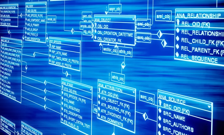 أنواع البيانات في قواعد البيانات SQL