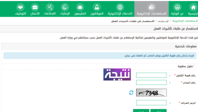 الاستفسار عن طلبات تأشيرات العمل