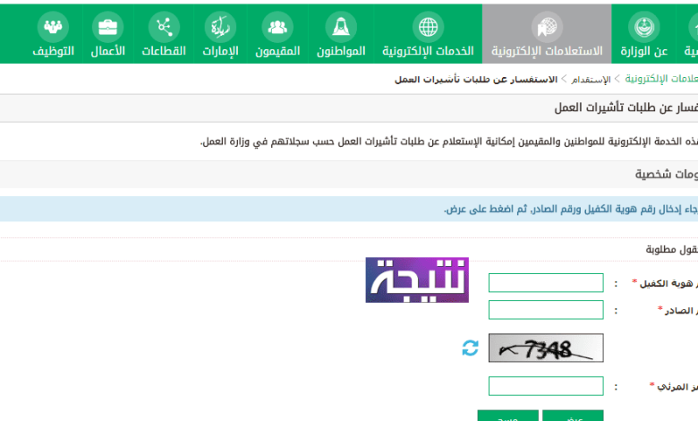 الاستفسار عن طلبات تأشيرات العمل