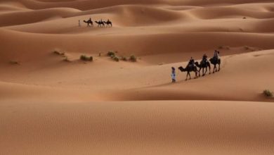 الخرعان وش يرجعون.. أصل قبيلة الخرعان