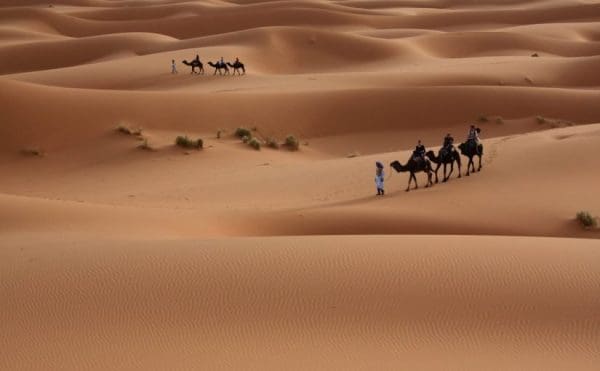 الخرعان وش يرجعون.. أصل قبيلة الخرعان