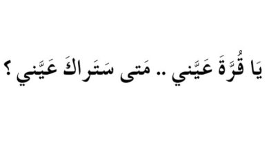 الرد على قرة عينك