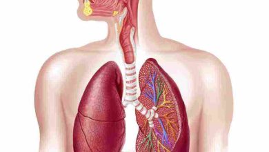 الية التنفس عند الانسان