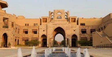 تخصصات الجامعة الأمريكية في مصر