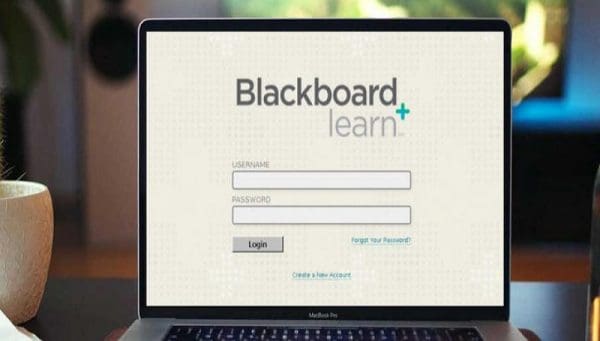 رابط بلاك بورد جامعة تبوك التعليم الالكتروني blackboard tabuk