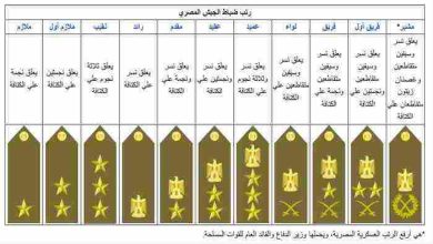 رتب الجيش المصري بالترتيب