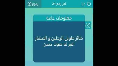 طائر طويل الرجلين والمنقار اغبر له صوت حسن