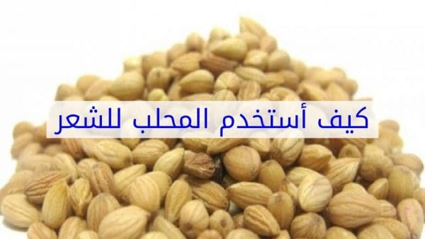 فوائد المحلب للشعر الخفيف وطريقة استخدامه