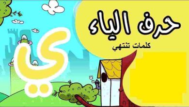 كلمات تنتهي بحرف الراء والياء