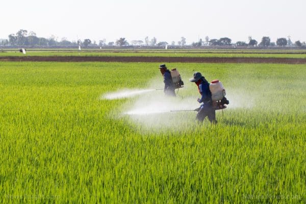 كيفية استعمال مبيدات الحشائش