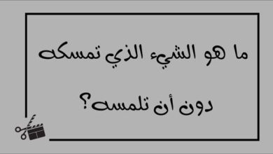 ما هو الشيء الذي تمسكه دون ان تلمسه من 6 حروف