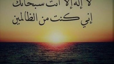 ماذا قال الرسول ﷺ عن دعاء سيدنا يونس