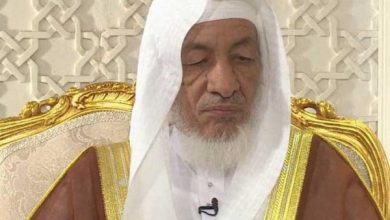 محمد بن محمد المختار الشنقيطي