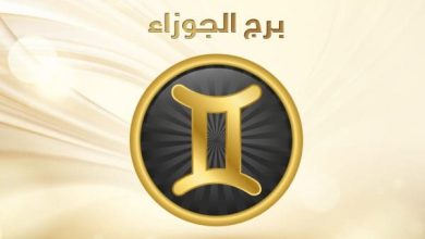 معلومات عن برج الجوزاء