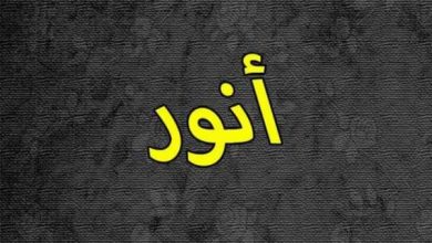 معنى اسم أنور