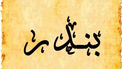 معنى اسم بندر في اللغة العربية