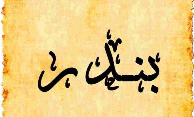 معنى اسم بندر في اللغة العربية