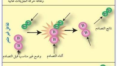 نظرية التصادم وسرعة التفاعل الكيميائي