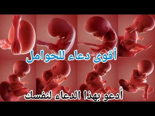 آيات وأدعية لتعديل وضع الجنين في الرحم