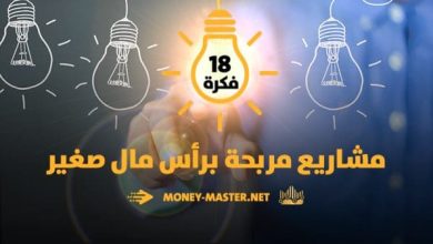 أفضل أفكار مشاريع تجارية برأس مال صغير 2024