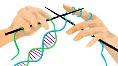 أفضل مختبرات تحليل dna في السعودية