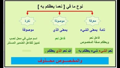 أنواع ما في اللغة العربية