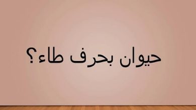 اسم حيوان بحرف ط