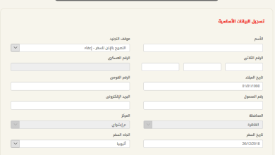 الاستعلام عن تصريح السفر الإلكتروني