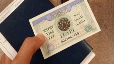 تأشيرة دخول السعودية من مصر للعمل