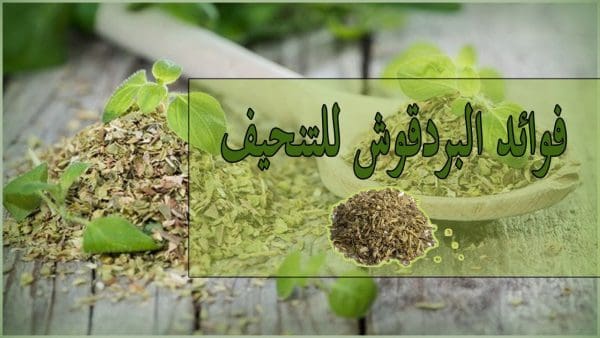 تجربتي مع البردقوش للتنحيف