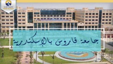 تخصصات جامعة فاروس بالإسكندرية