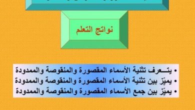 تدريبات على الاسم المقصور والمنقوص والممدود