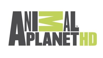 تردد قناة animal planet الجديد 2024 على النايل سات