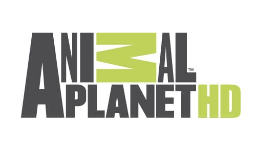 تردد قناة animal planet الجديد 2024 على النايل سات