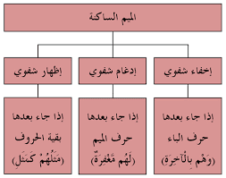 حكم النون الساكنة اذا جاءت قبل حرف الباء