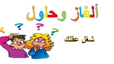 حل لغز الدجاجة في الثلاجة التفاحة