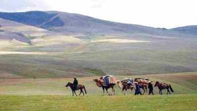 دولة اسيوية سكانها من المغول كلمات متقاطعة