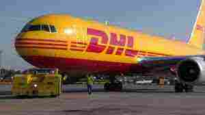 رقم DHL مصر الخط الساخن 2024