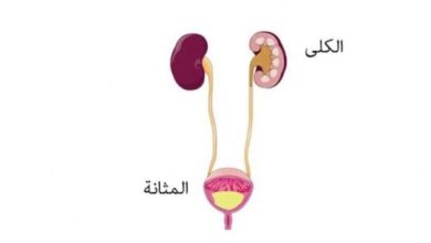 سبب كثرة التبول بعد شرب الماء المرقي