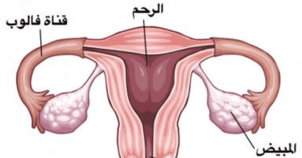 علاج انسداد الأنابيب بالاستغفار